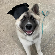 Unlock Your Potential with PetSmart’s Tuition Assistance Program