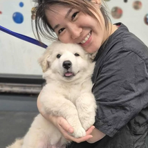 Step It Up a Paw: 7 Career Tips for Growing Your Future at PetSmart