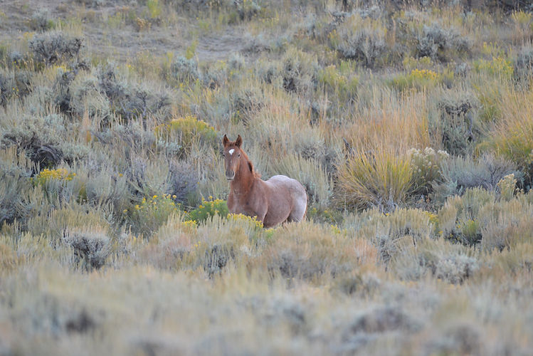 DSC_3865.JPG