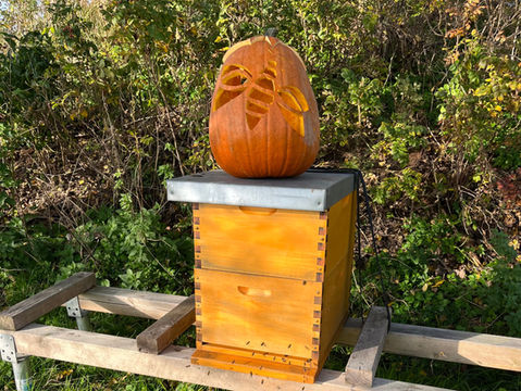 BeeLoved-Tating_Family-Imkerei_Bienenstock_Halloween