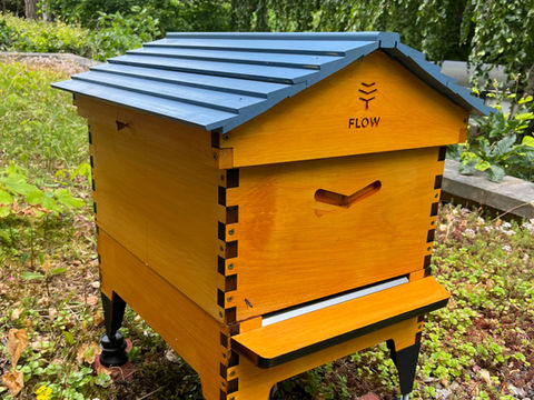 BeeLoved-Tating_Family-Imkerei_Bild