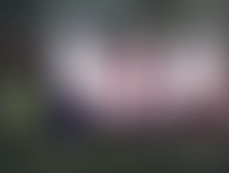 ********الطالبات المتفوقات**********