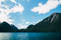 NatáliaViana-00058_IMG_1327