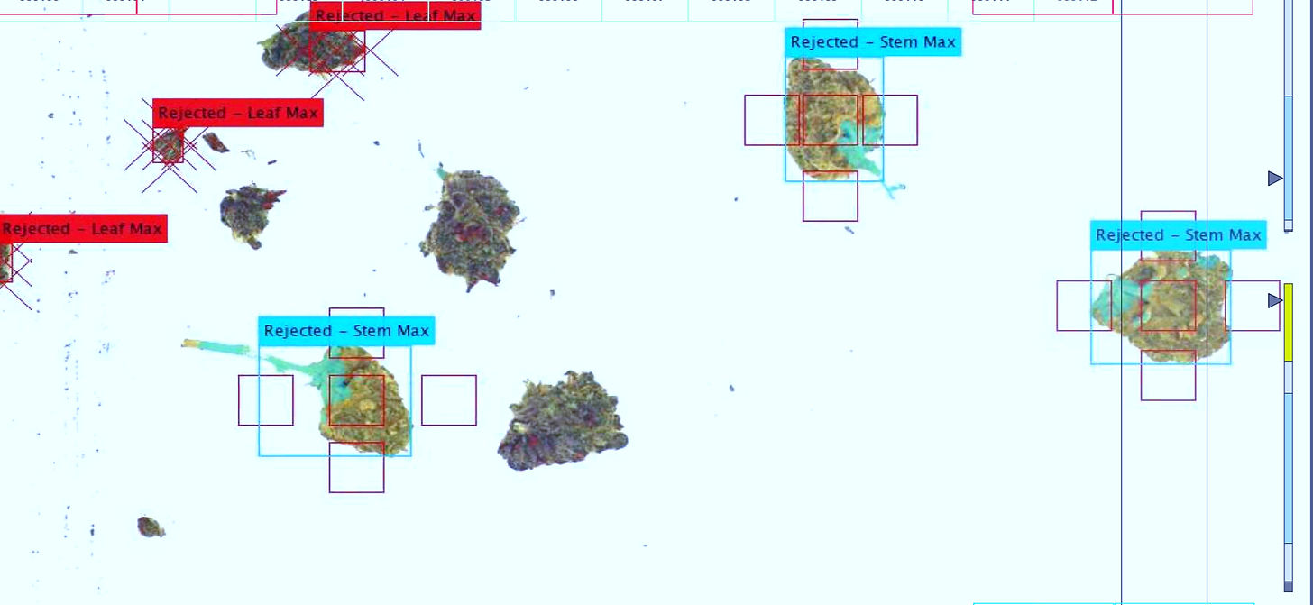 image (3)_edited_edited_edited_edited_edited.jpg