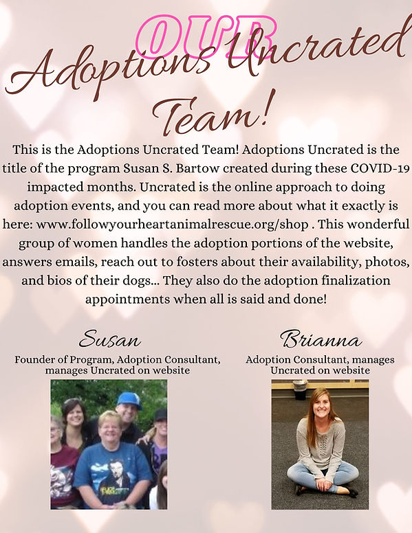 Adoptions Unncrated 2.jpg