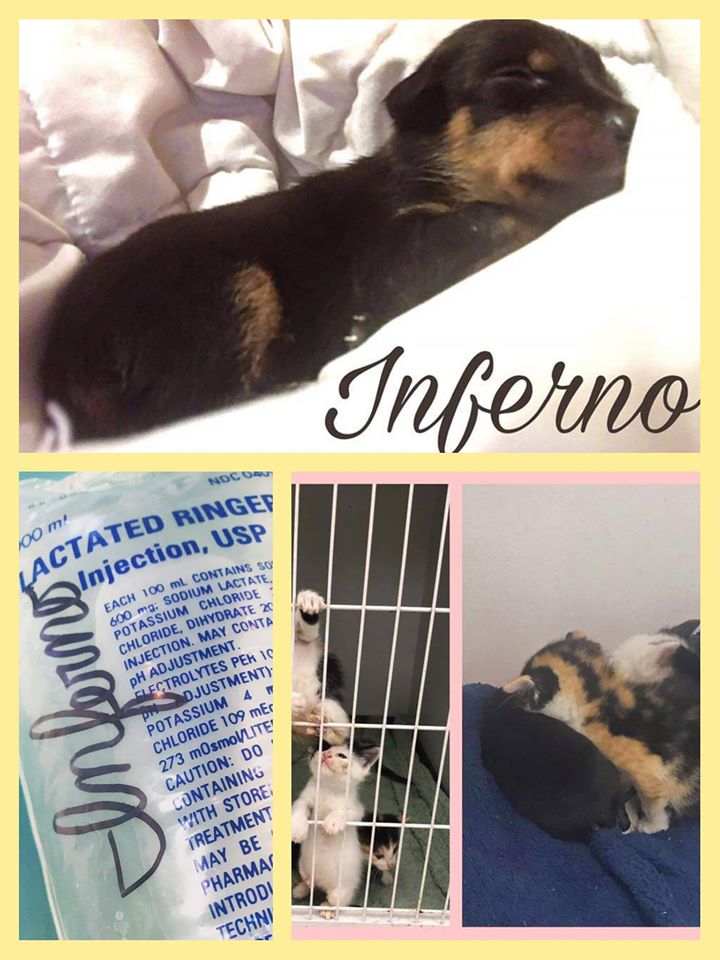 Inferno