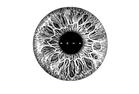 IMG_5641.PNG