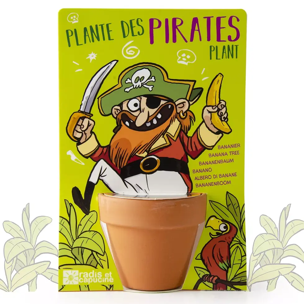 Thumbnail: Kit culture Pirate et son Bananier