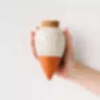 Olla