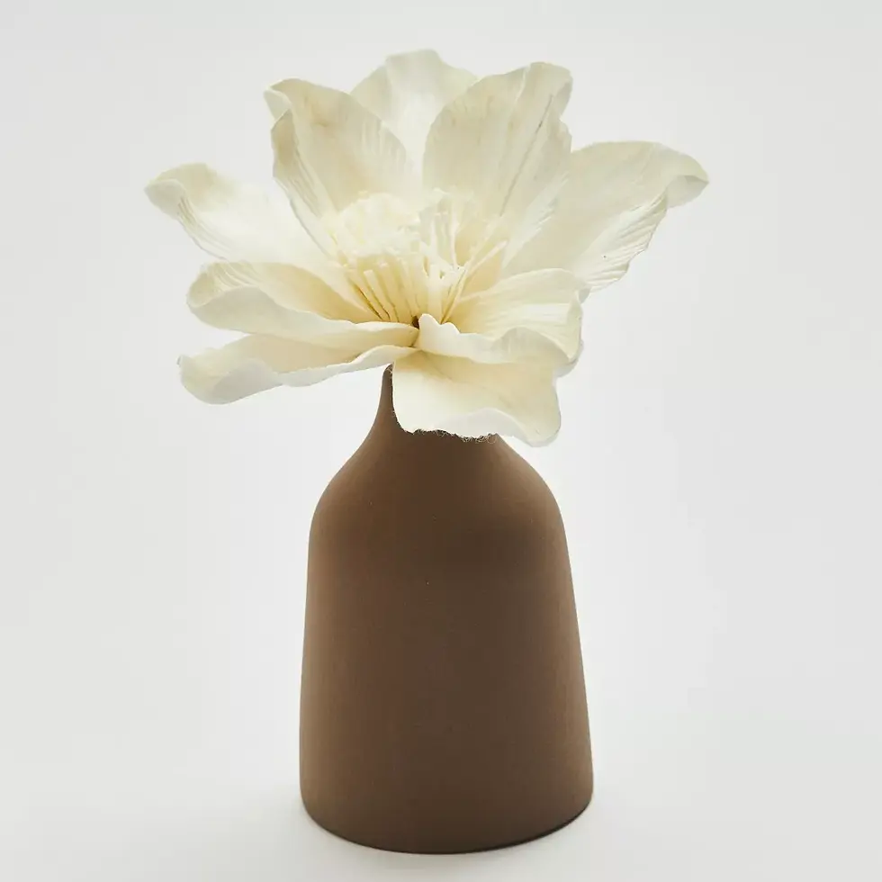 Vase diffuseur de parfum- Parfumeur d'ambiance MANA- Choco