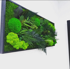 Cadre végétal stabilisé sans entretien. Expédition France & Europe.