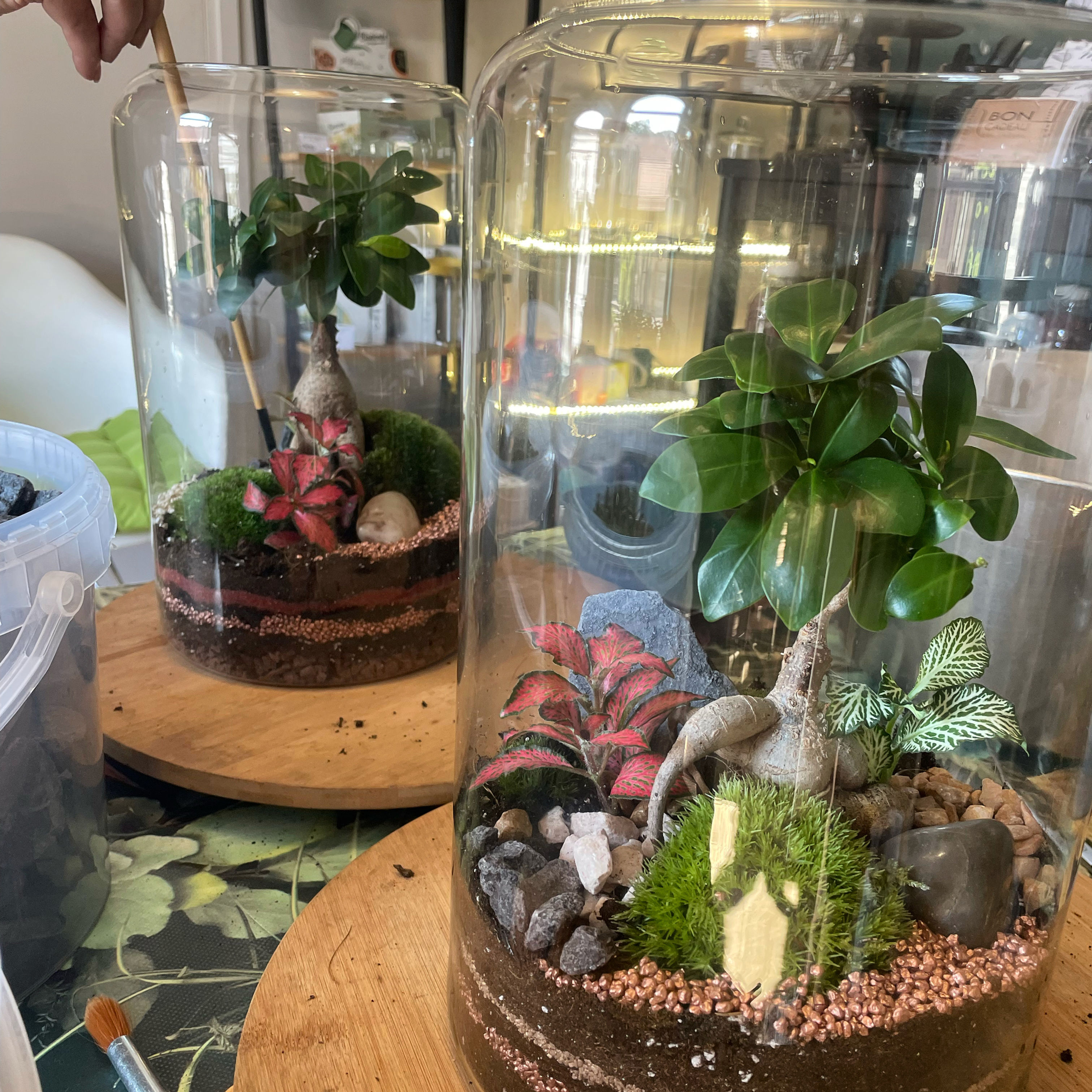 Atelier Terrarium Wambrechies / Lille