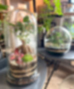 Terrarium à expédier en France et en Europe.