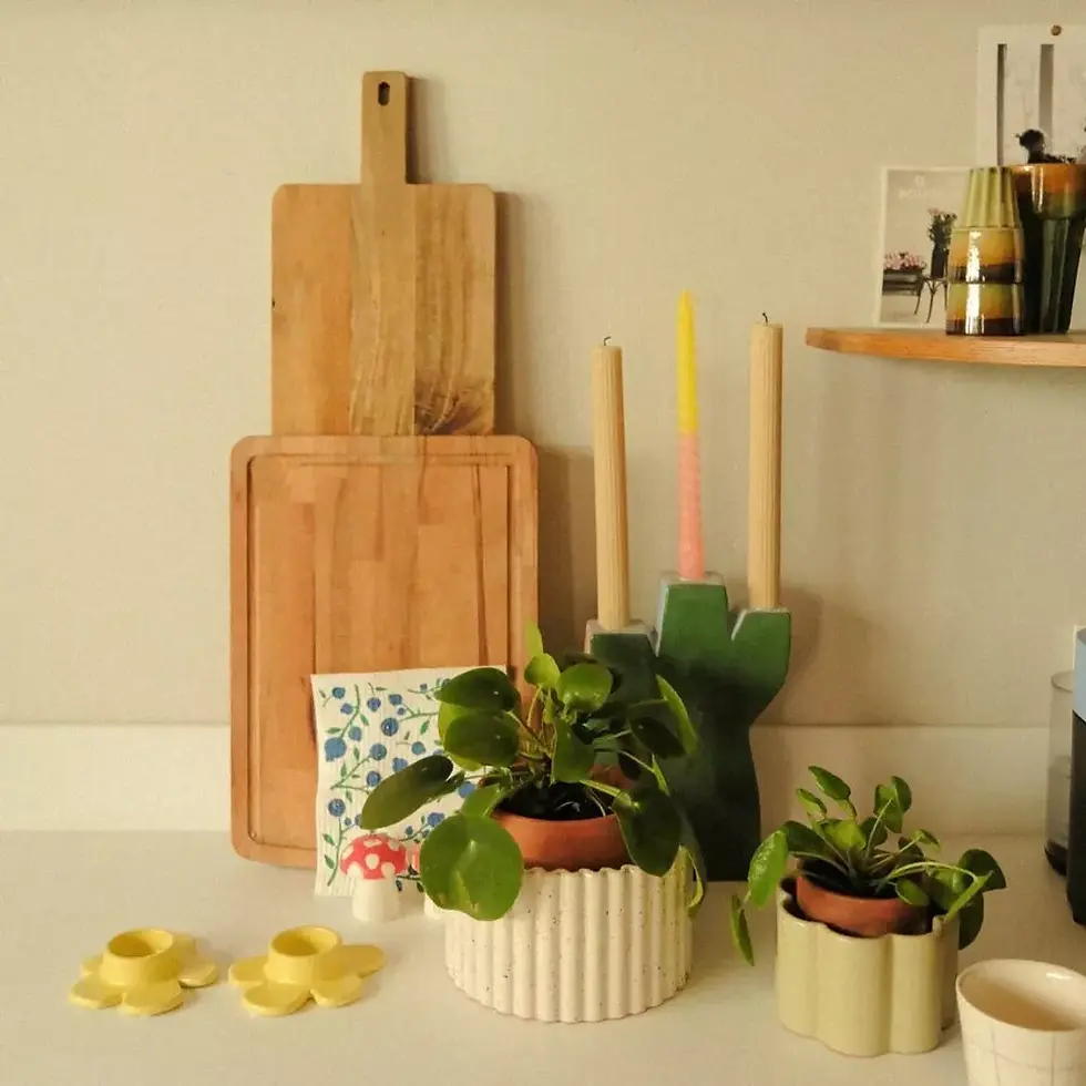 Pot autonome Paula ou Paulita