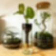 Vase avec système d'auto-arrosage