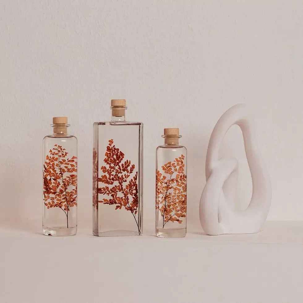 Herbarium Luthi Terracotta - plante immergée