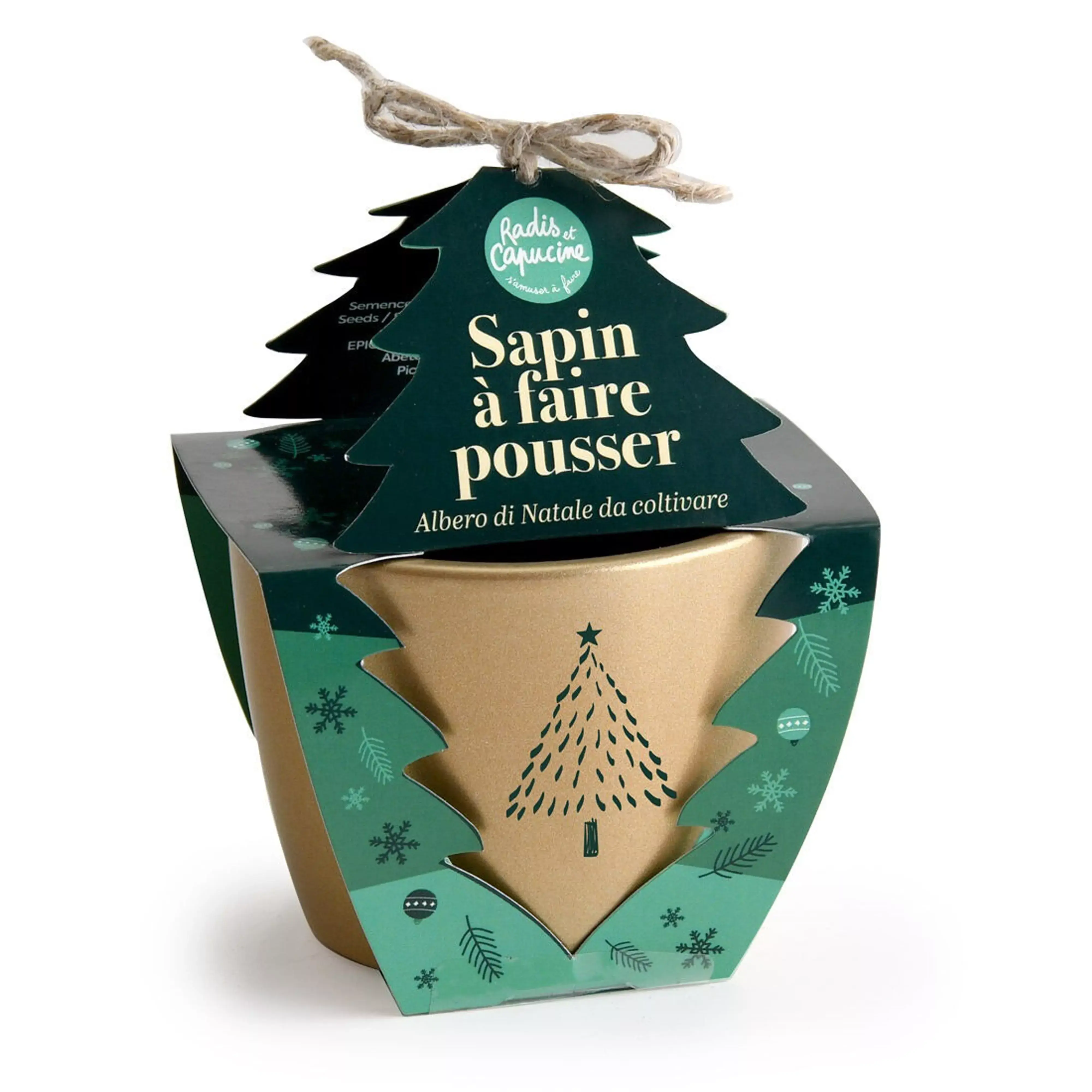 Mini kit jardinage Noël - Épicéa