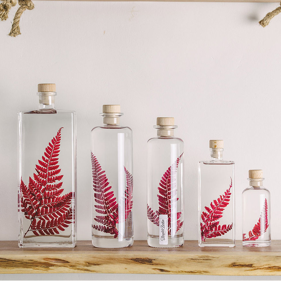 Herbarium Rumohra rouge