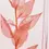 Thumbnail: Herbarium