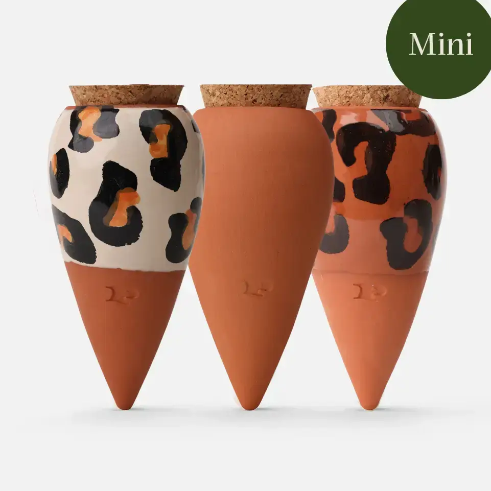 Trio de Mini Olla Léopard - Réservoir d’eau naturel pour plantes