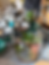 Miniatura: Atelier Terrarium Duo Parent/Enfant - Wambrechies, Lille