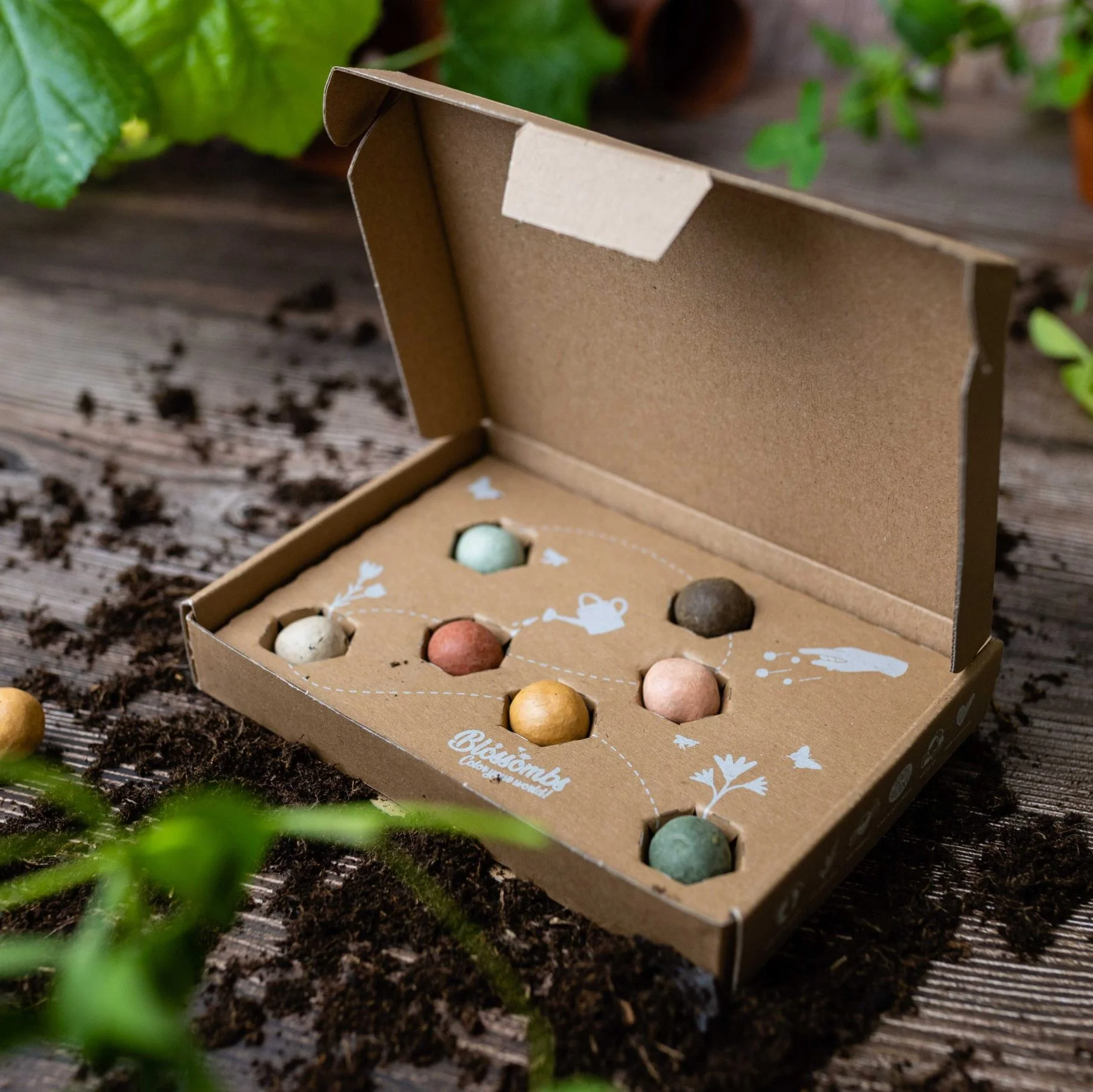 Bombes de graines à semer