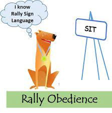 dog sitting beside rally sign