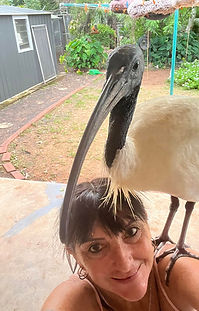 Mandy with an Ibis she rescued