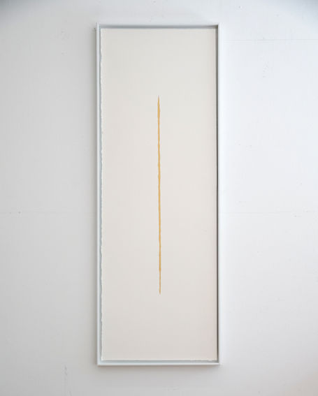 SONY ILCE-7SM2 3445x4288_002690.jpg