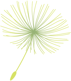 blossom_schirmli_gruen_528x600_01.png