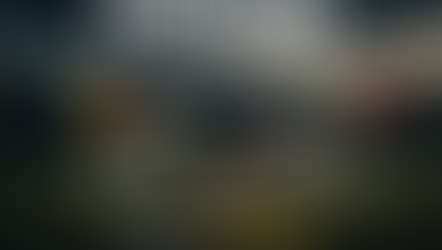 Fotbalul care a uitat drumul spre Mondial | România și Italia, între orgoliu și realitate