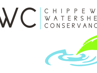 Beer Release Ripple Effect Ale