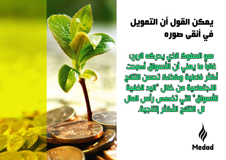 برنامج محاسبي يدعم الفاتورة الالكترونية