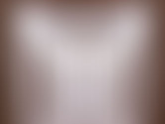 Welcome to Apple Elevator Corporation, Toronto's Fastest Elevator Maintenance and Service Company