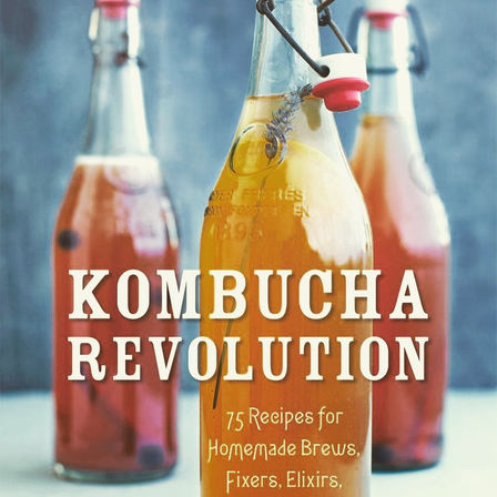 PHYSICAL HEALTH 101: The KOMBUCHA Experiment!