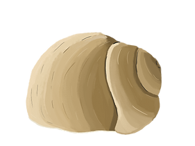 slakken huis 1.png