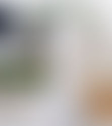 Summer sweets for 2023