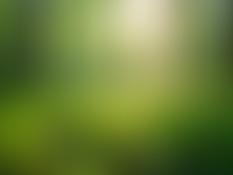 The Importance of Sustainable Living in Today's World