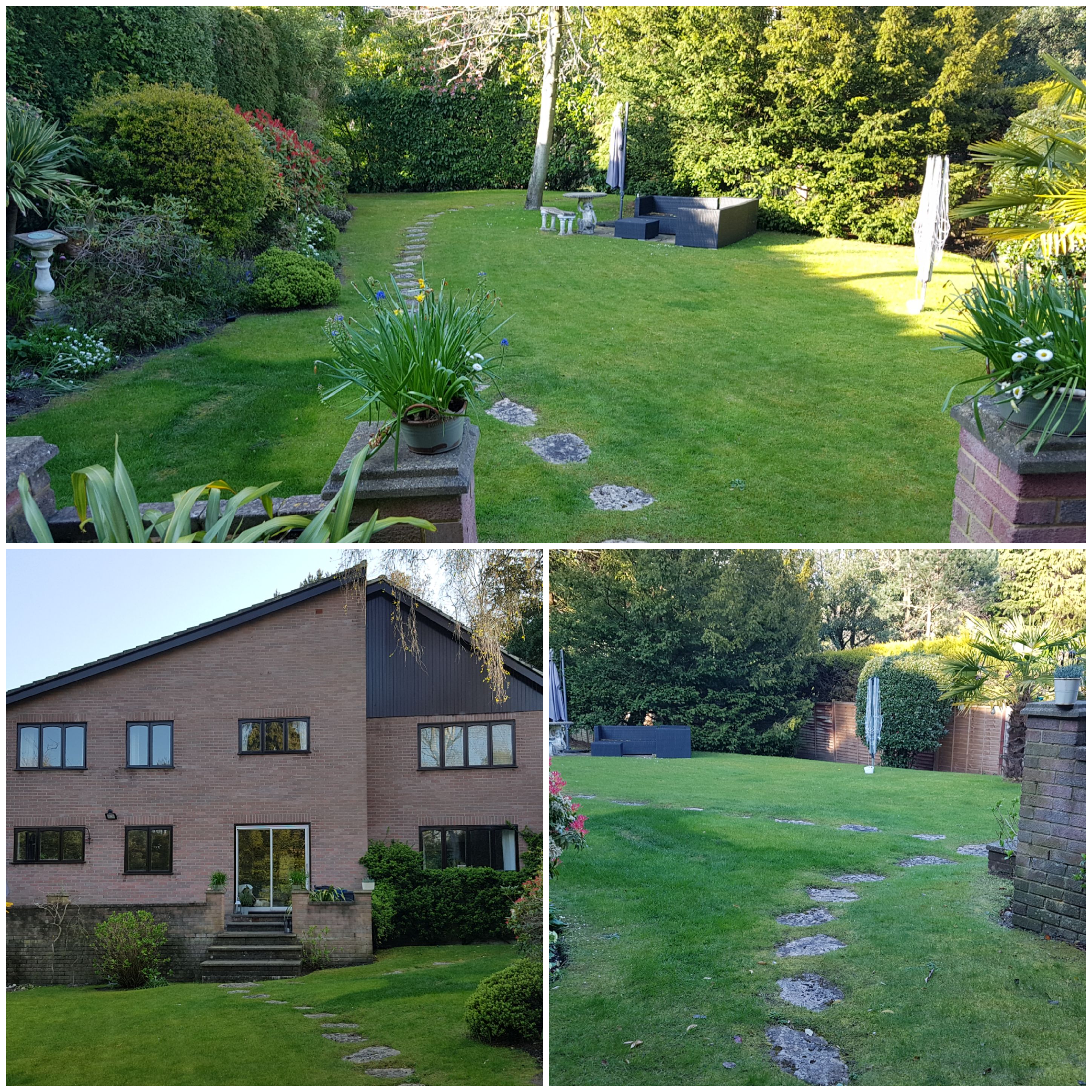 New Project, Parkstone The Landscape Design Service