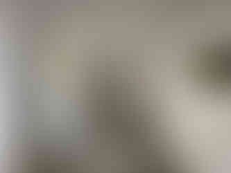 ETAT DES LIEUX AVANT PROJET