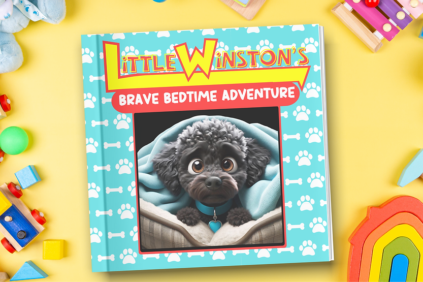 Mockup 1 Front cover closed (1).png