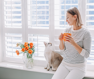 Appointments Dr Schultis