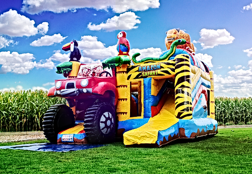 Hüpfburg Safari Rutsche
