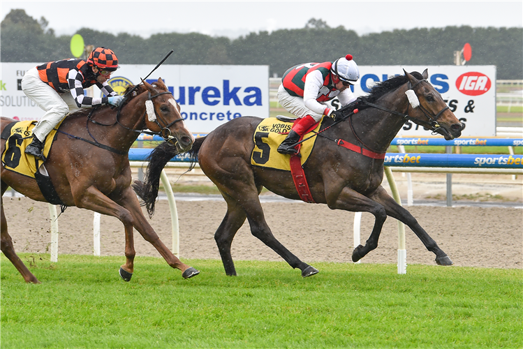 shuriken winning at ballarat.webp