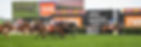 shuriken sandown guineas.JPG