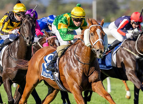 regal azmon wins group 3.jpeg
