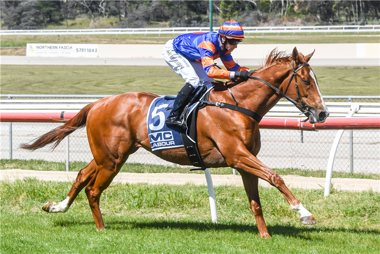 Paint Me Red scores his 2nd win at Mornington today