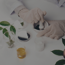 Herbal Medicine_edited.png