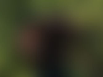 Tiger Woods Confident Putting