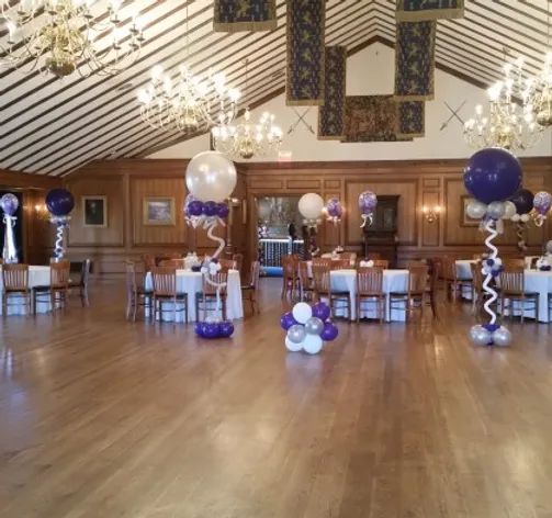Elegance Manifested Event Decor Detroit 248 662 5209